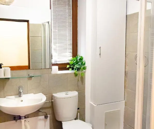 Bohemian - Center Of *